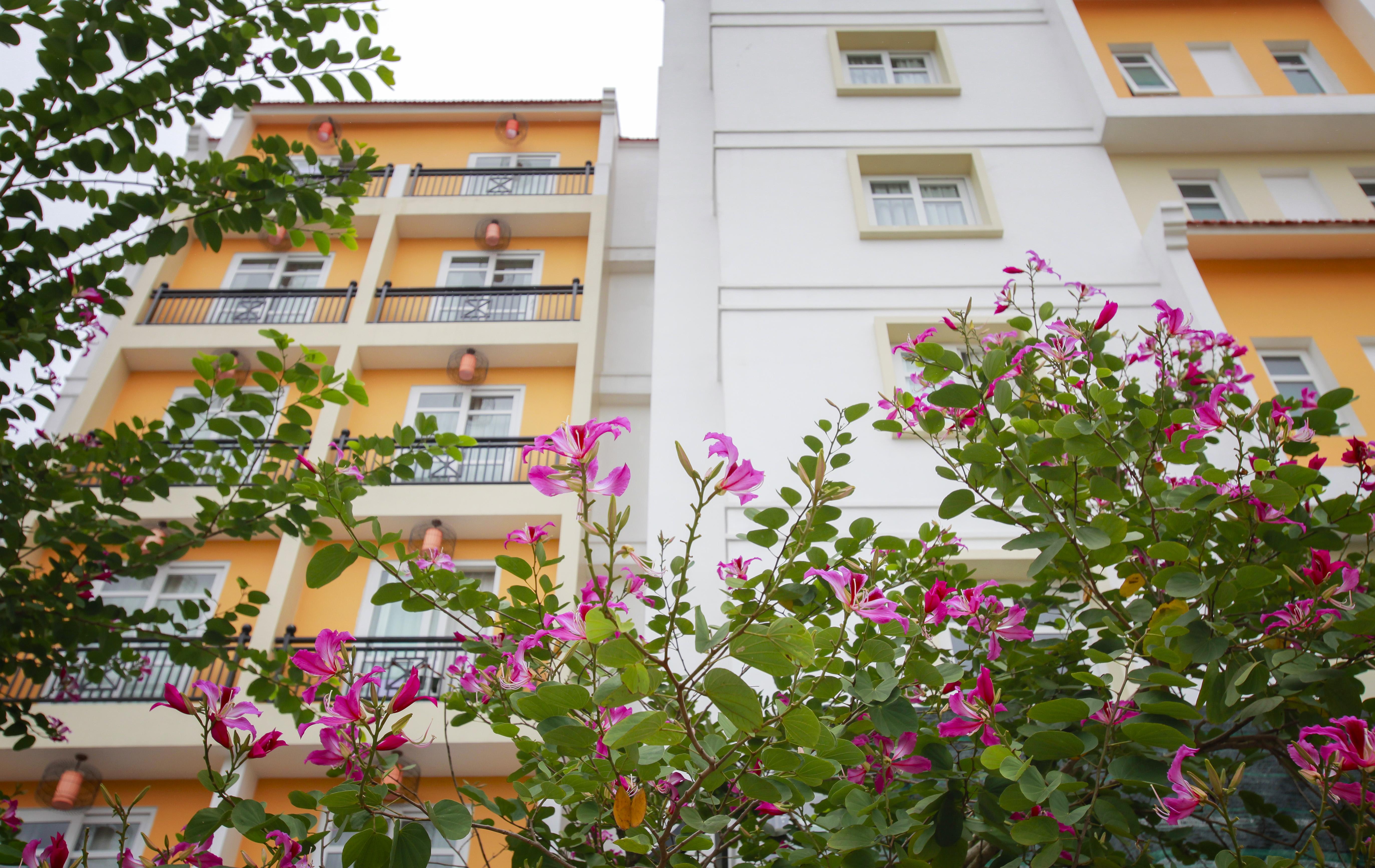 Royal Riverside Hoi An Hotel & Spa Екстер'єр фото